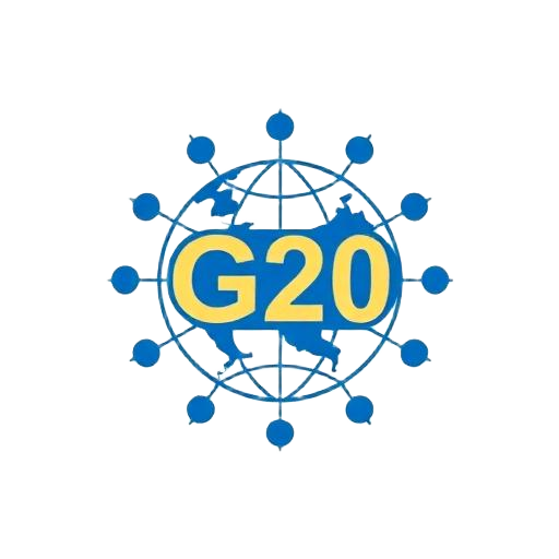 G20 logo